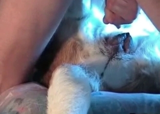 Amateur bestiality video with all sorts of naughty action