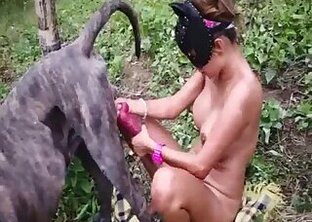 Stallion bestiality xxx