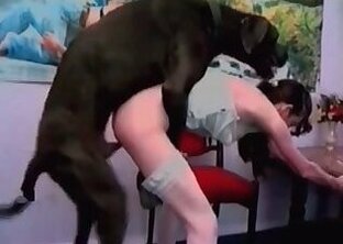 Zoo Sex Pink